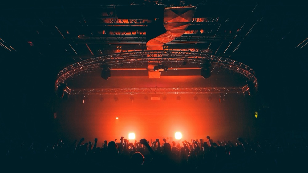 Crowd with raised fists at a concert